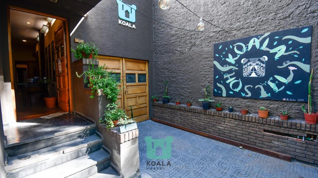 Koala Hostel Mendoza Kültér fotó