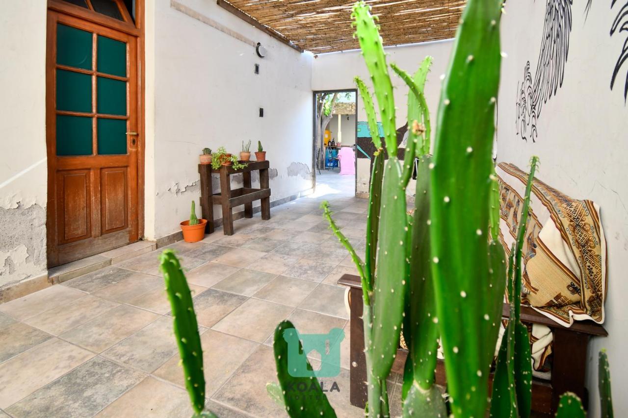 Koala Hostel Mendoza Kültér fotó
