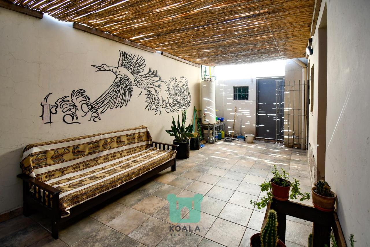 Koala Hostel Mendoza Kültér fotó
